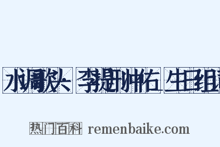 水调歌头·李提刑冲佑_生日组词是什么意思的图片